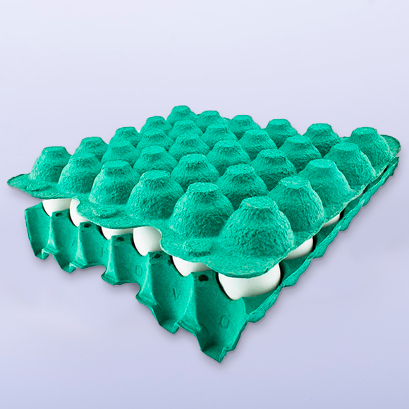 Maple 25 LBS - Maple para huevos